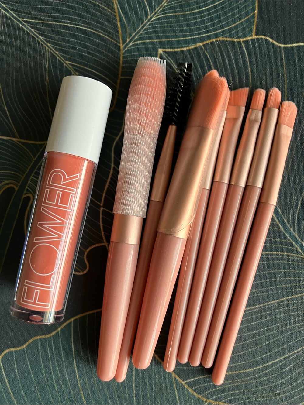 Lip Gloss and brush set